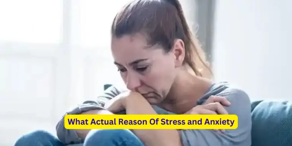 What Actual Reason Of Stress and Anxiety