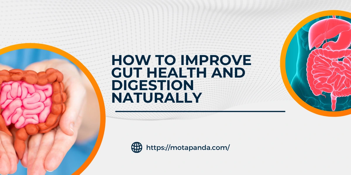 How to improve gut health and digestion naturally